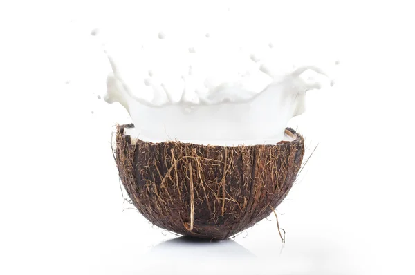 Coconut splashing milk — Stock Photo, Image