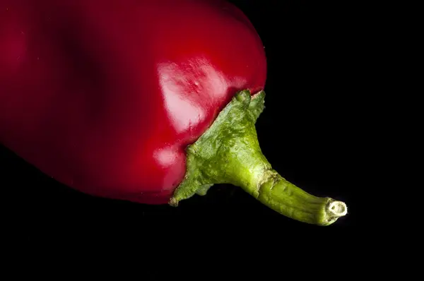 Red pepper — Stock Photo, Image