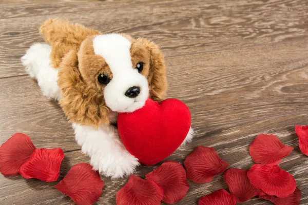 Dog and heart — Stock Photo, Image