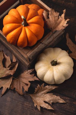 Sonbahar yapraklarının ve ahşap arka planda küçük balkabaklarının üst görüntüsü