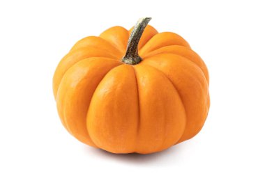 Fresh miniature pumpkin on an isolated white background clipart