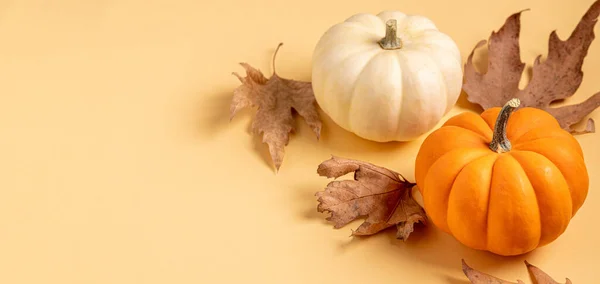 Autumn Composition Creative Top View Autumn Leaves Mini Pumpkins — Stock Photo, Image