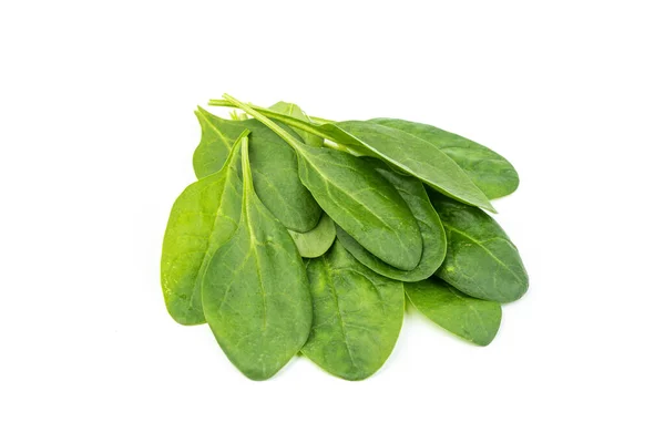 Freshly Harvested Baby Spinach Isolated White Background — Stock Photo, Image