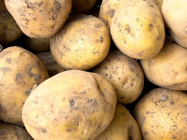 Patatas Apiladas Mostrador Mercado —  Fotos de Stock