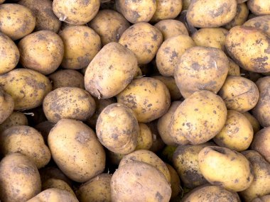 Pazar yerinde tezgahın üzerine istiflenmiş patatesler