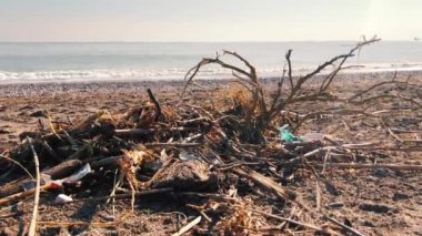 Büyük şehrin plajına çöp döküldü. Kullanılmış kirli plastik şişeler. Kirli deniz kumlu kıyısı. Çevre kirliliği. Ekolojik sorun