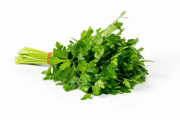 Bunch Freshly Picked Parsley Isolated White Background — Stock Photo, Image