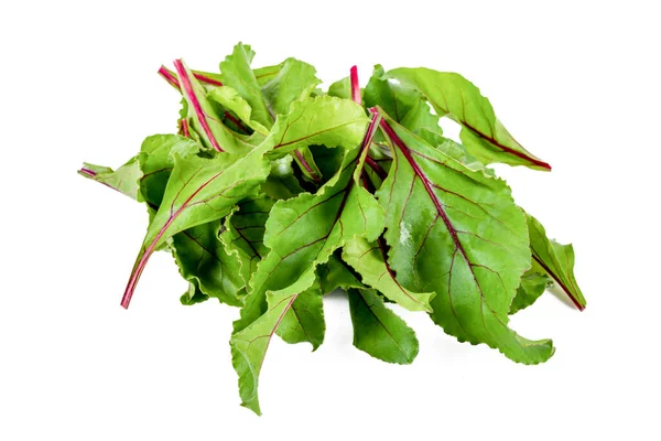 Nuova Raccolta Red Veined Beet Leaves Uno Sfondo Bianco Isolato — Foto Stock