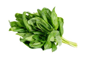 İzole edilmiş beyaz arka planda taze toplanmış fesleğenler.