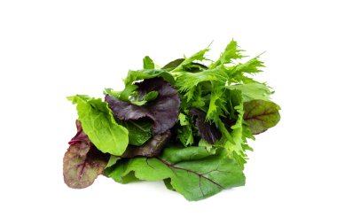 Raw fresh mixed salad on isolated white background