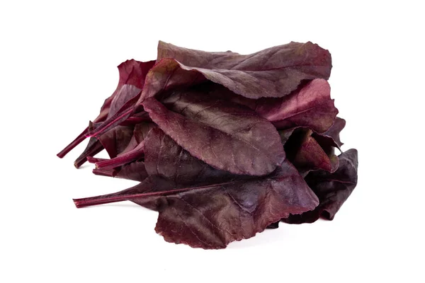 Freshly Harvested Red Beetroot Leaves Isolated White Background — 스톡 사진
