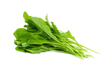 Freshly picked fresh arugula leaves on an isolated white background