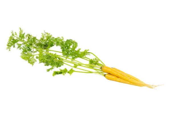 Bunch Fresh Yellow Carrot Isolated White Background — Stock Photo, Image
