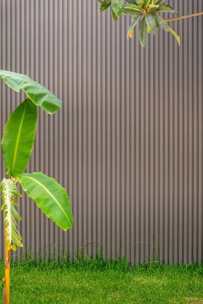 plastic exterior panel cladding wall with green leaves in front