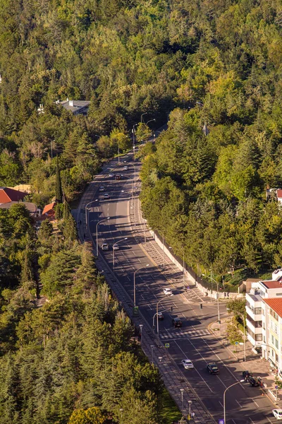 Top View Winding Highway Going Forest Sunset — Stock Photo, Image