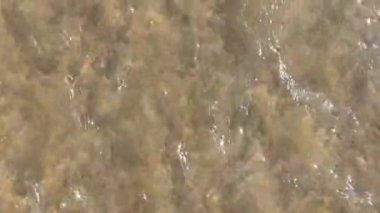 Small wave hitting the beach on a sunny day. Empty text space