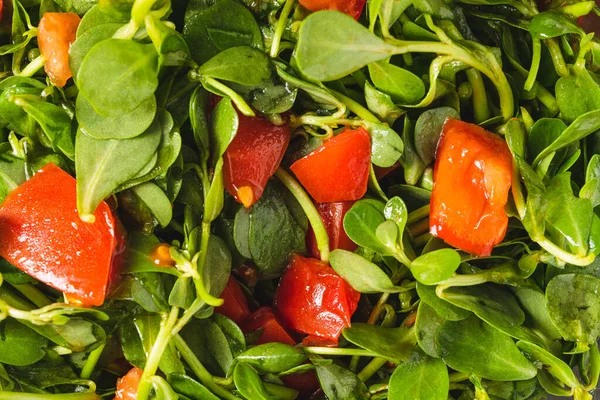 Purslane Salad Tomatoes Glass Bowl Healthy Eating Concept — Stok Foto
