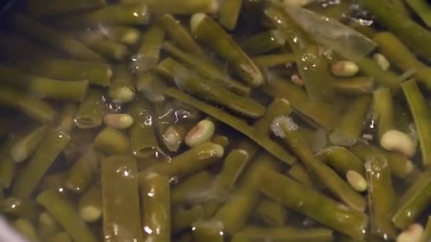 Green Bean Boiled Water Pot — Wideo stockowe