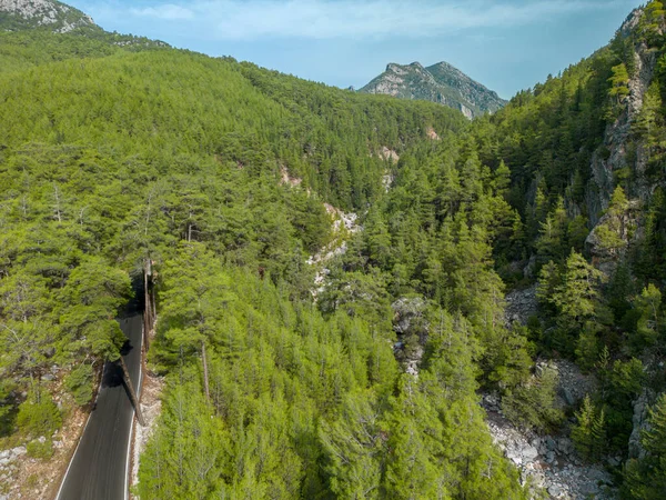 Top View Road Forest Sunrise — Stock Photo, Image