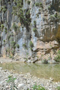 Dağ nehri