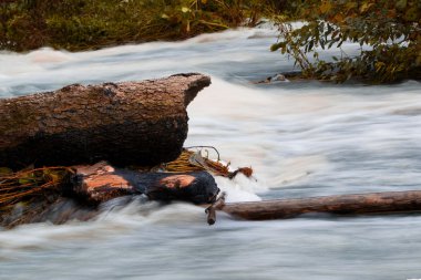 fırtınalı dağ nehir