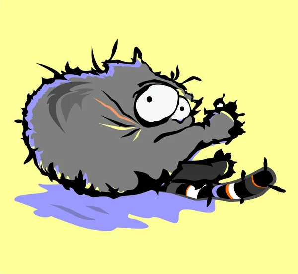 Pictures scared cartoon cat Scared cartoon cat — Stock Vector