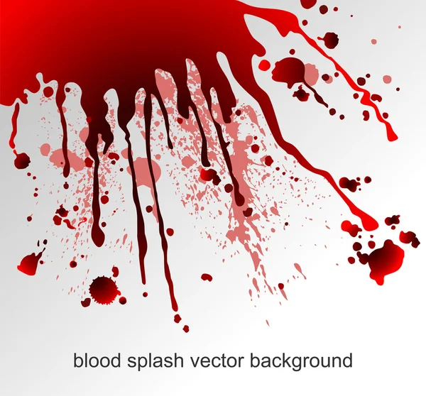 Blood splatters — Stock Vector