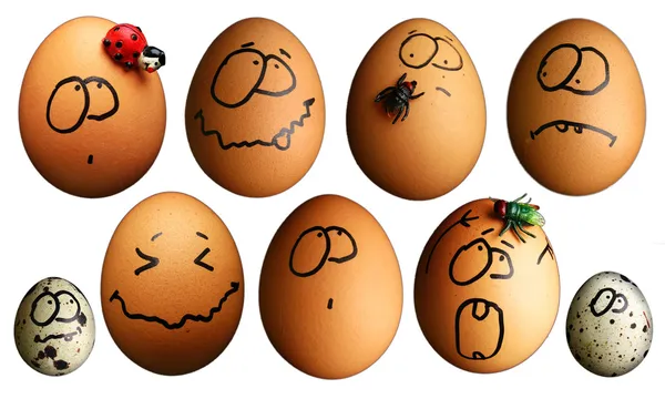Смешные яйца — стоковое фото