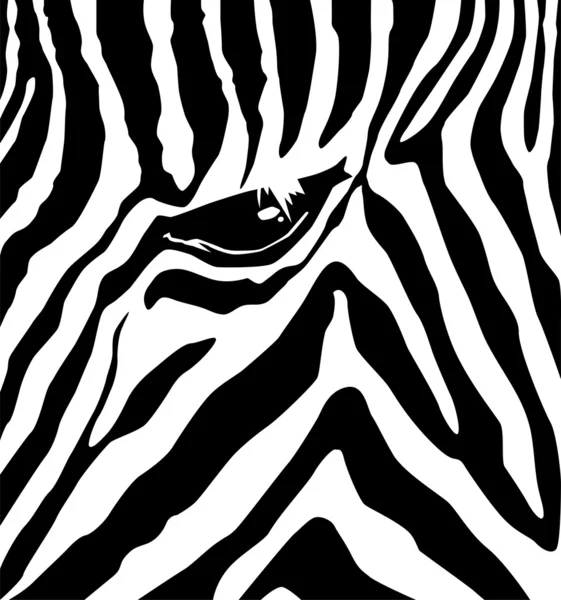 Vzor Zebra — Stockový vektor