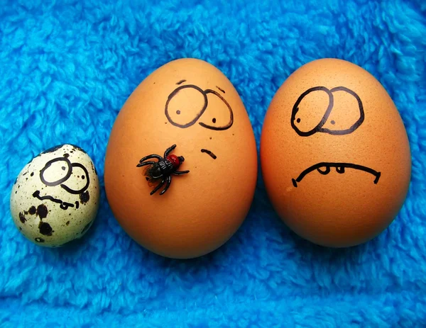 Funny easter eggs — Stock Photo, Image