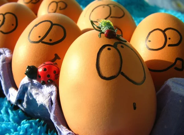 Lustige Eier — Stockfoto