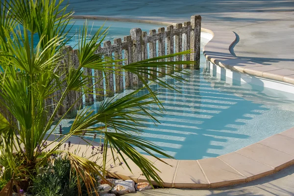 Swimming pool, barrier and palm tree — Stock Photo, Image