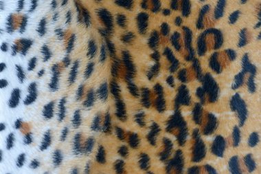 Dekoratif leopar doku