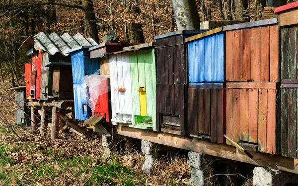 Färgglada bikupor — Stockfoto
