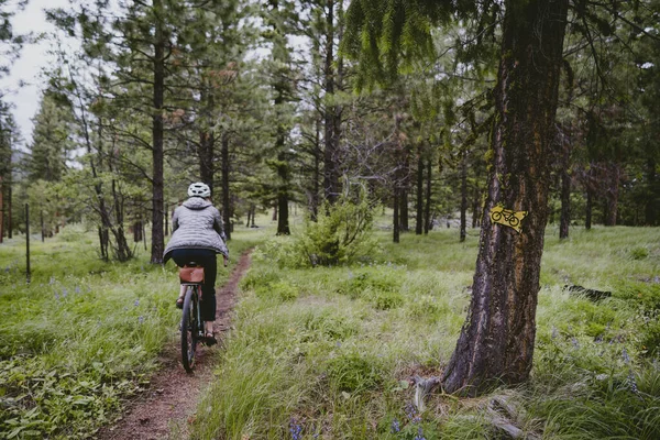 Cyclist Biking Trail Tall Pine Trees Wildflowers — Stock Photo, Image