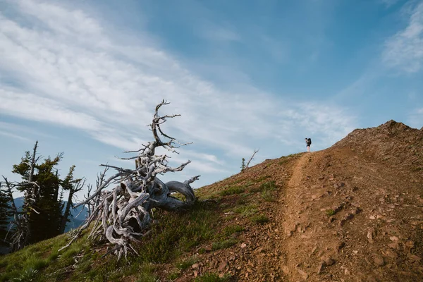 Yürüyüşçü Zirvenin Tepesinde Önünde Kayalık Bir Patikayla Duruyor — Stok fotoğraf