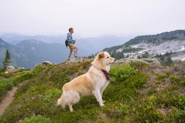 Пеший Турист Собака Северных Каскадных Горах — стоковое фото