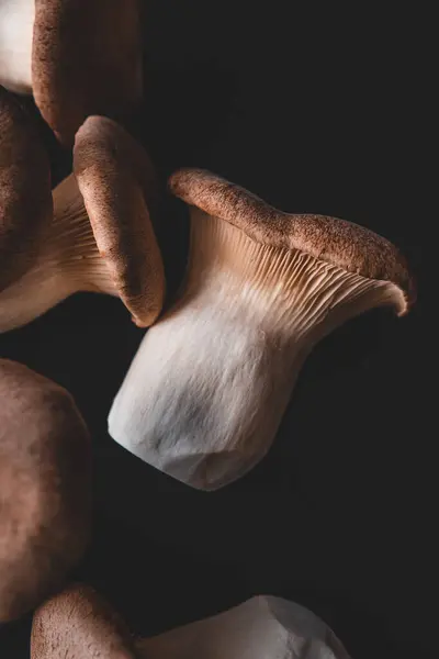 Closeup Shot Raw Mushrooms Black Background — Stock Photo, Image