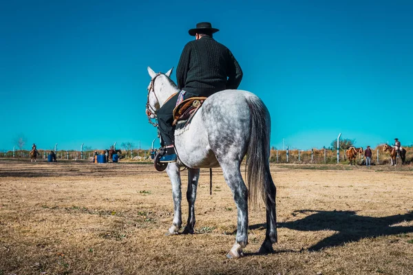 馬に帽子をかぶったアルゼンチンのガウチョ — ストック写真