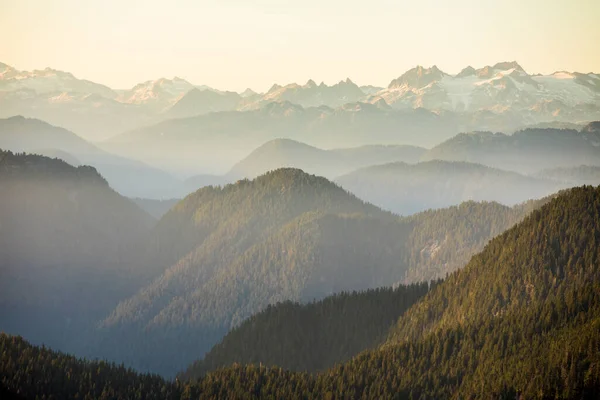 Красивий Краєвид Карпатських Гір Тумані — стокове фото