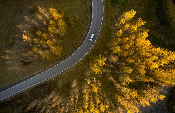 Drone View Car Driving Asphalt Roadway Surrounded Yellow Autumn Trees — Stock Photo, Image