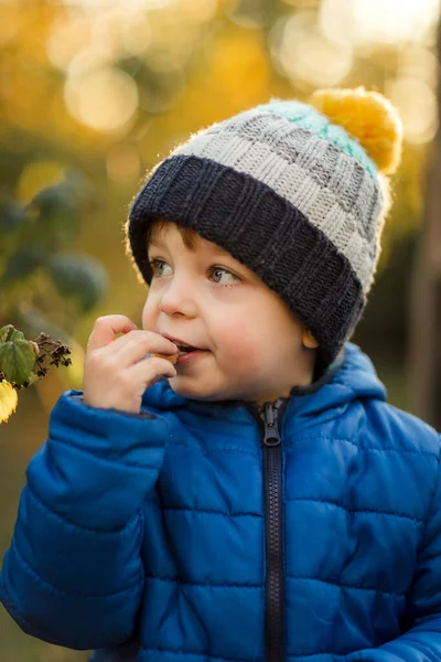 庭で黄色のラズベリーを食べる小さな男の子のサイドビュー — ストック写真