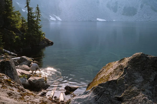 Wanderin Sammelt Wasser Einem Unberührten Bergsee Filtern — Stockfoto