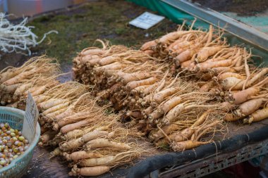 Geleneksel Kore gıda pazarında ginseng kökü ve fındık.