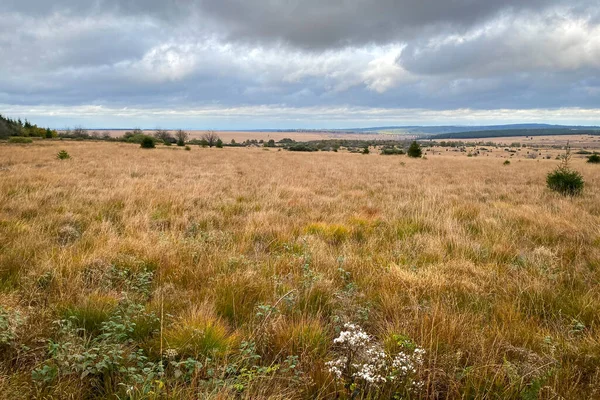 Naturskön Utsikt Över Naturreservatet High Fens Belgien Mot Molnig Himmel — Stockfoto