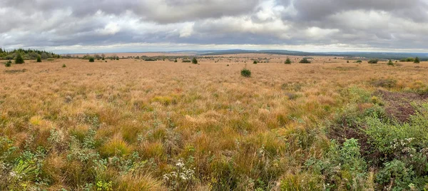 Panoramautsikt Över Naturreservatet High Fens Belgien Mot Molnig Himmel — Stockfoto