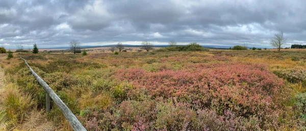 Panoramautsikt Över Naturreservatet High Fens Belgien Mot Molnig Himmel — Stockfoto