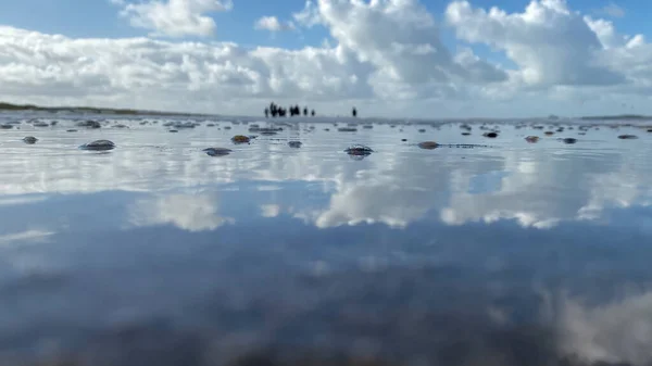 Vista Baixo Ângulo Água Uma Praia Com Bolhas Fundo Embaçado — Fotografia de Stock