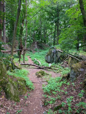Almanya 'da Siebengebirge dağlarında yaz aylarında kayaların arasında yürüyüş yapmak.