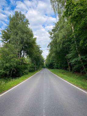 Yazın ormana doğru giden bir sokak.